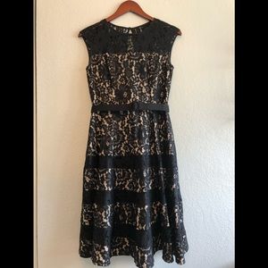 Black and White Lace Midi Dress